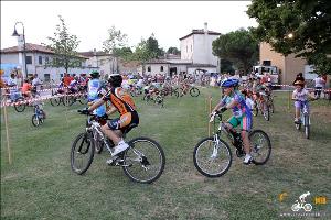 Foto ciottolino a Lorenzaga - Motta di Livenza